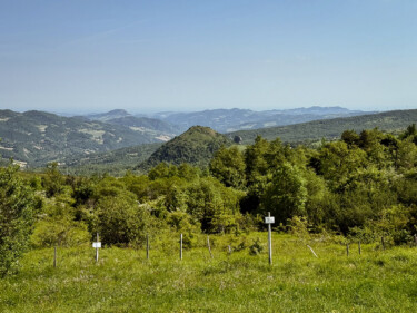 outville bikepacking bologna rom-039