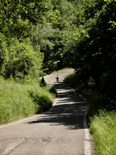 outville bikepacking bologna rom-066-2