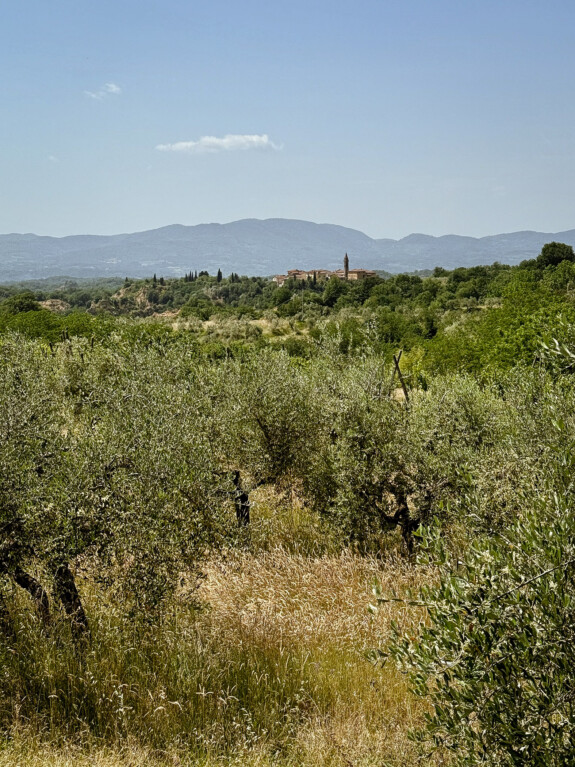 outville bikepacking bologna rom-113