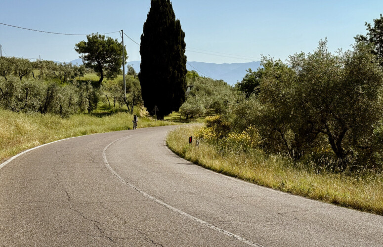 outville bikepacking bologna rom-215