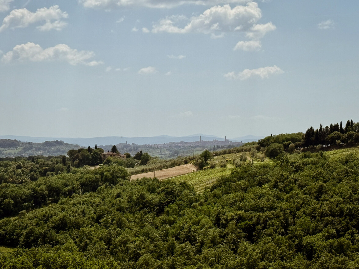 outville bikepacking bologna rom-231