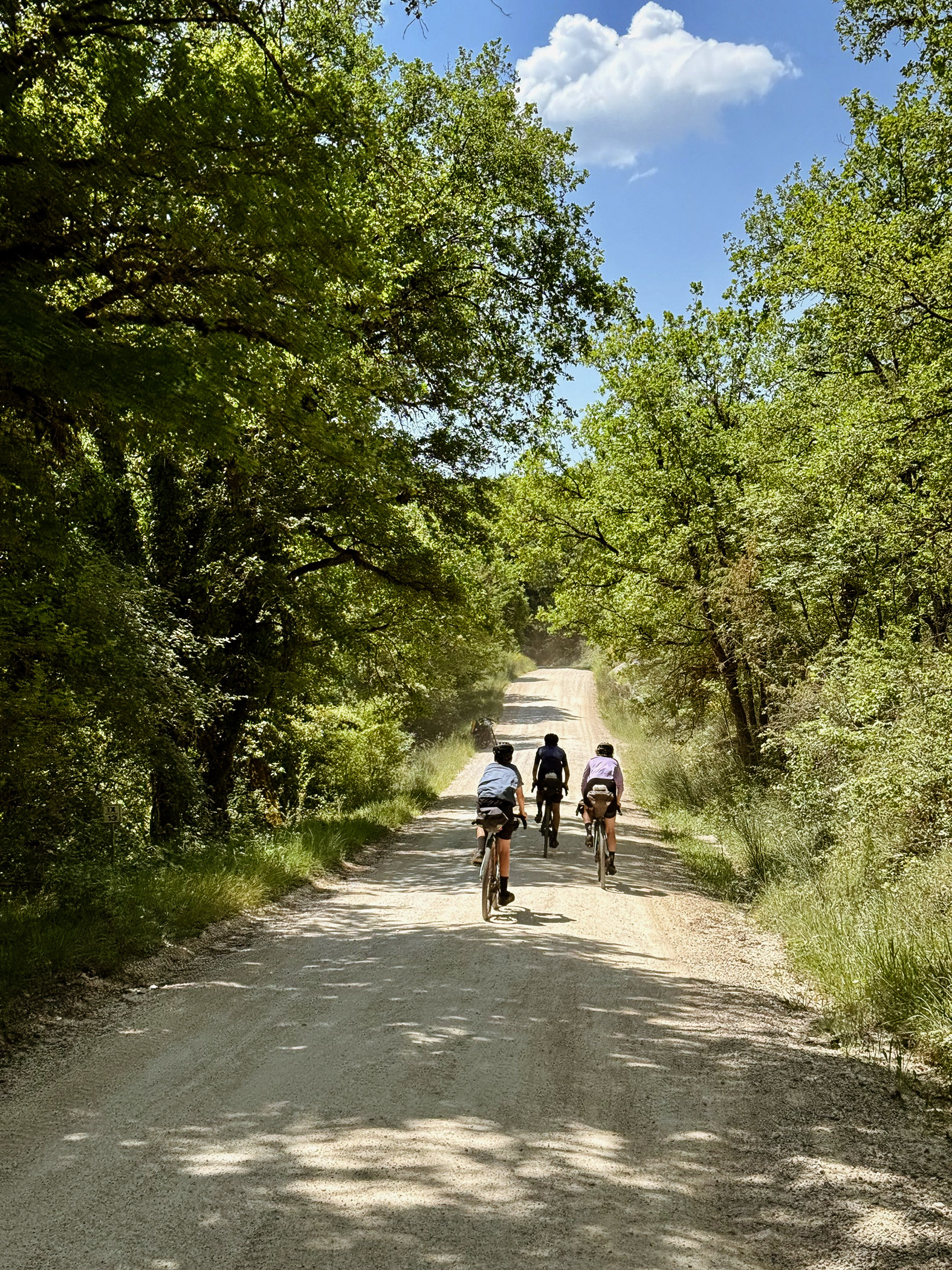 outville bikepacking bologna rom-255