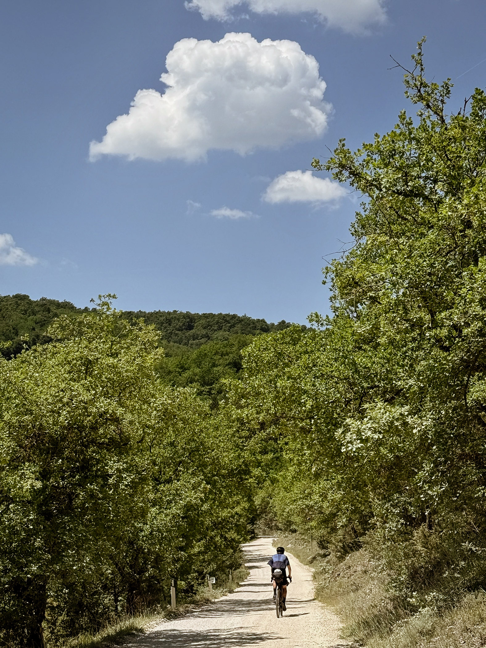 outville bikepacking bologna rom-257
