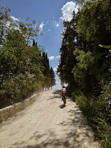 outville bikepacking bologna rom-263