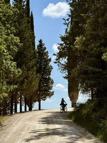 outville bikepacking bologna rom-266