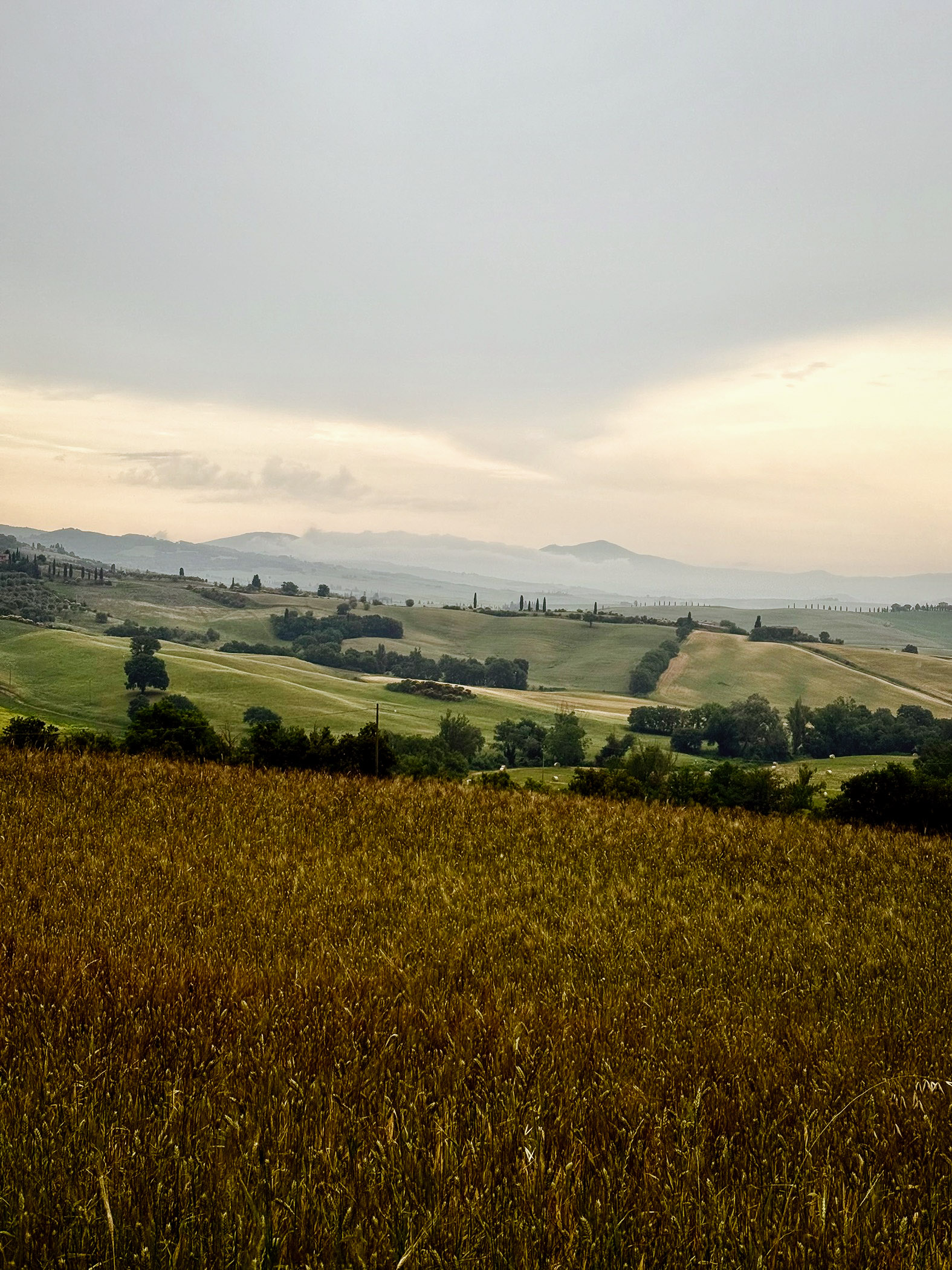 outville bikepacking bologna rom-pasta-147