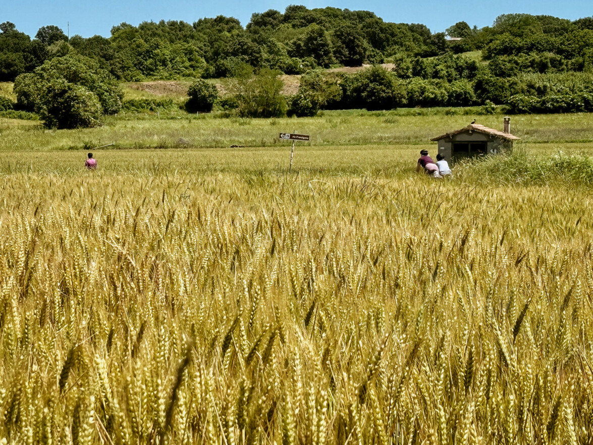 outville bikepacking bologna rom-pasta-165