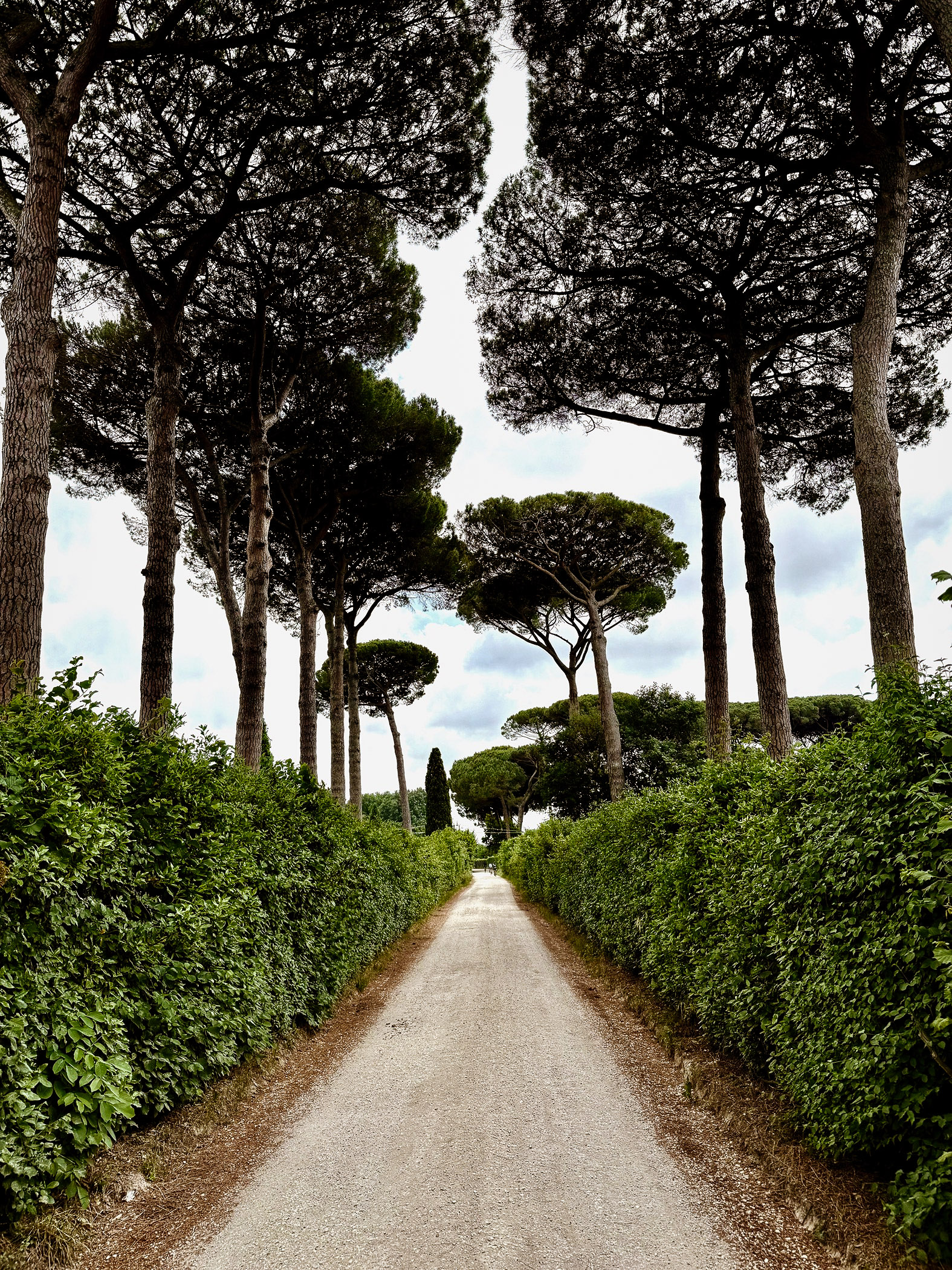 outville bikepacking bologna rom-pasta-392