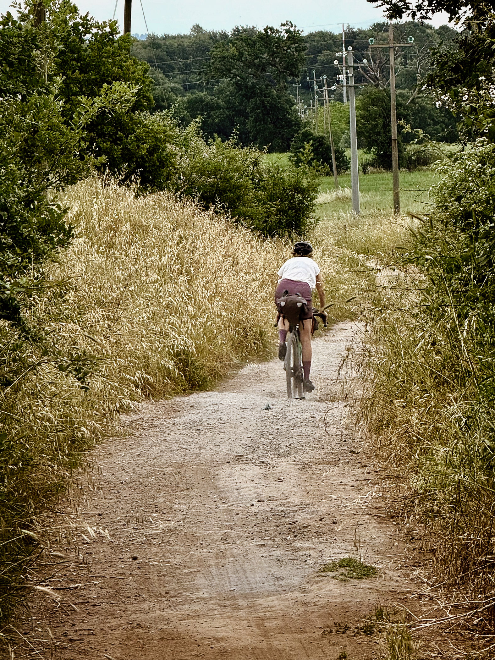 outville bikepacking bologna rom-pasta-436