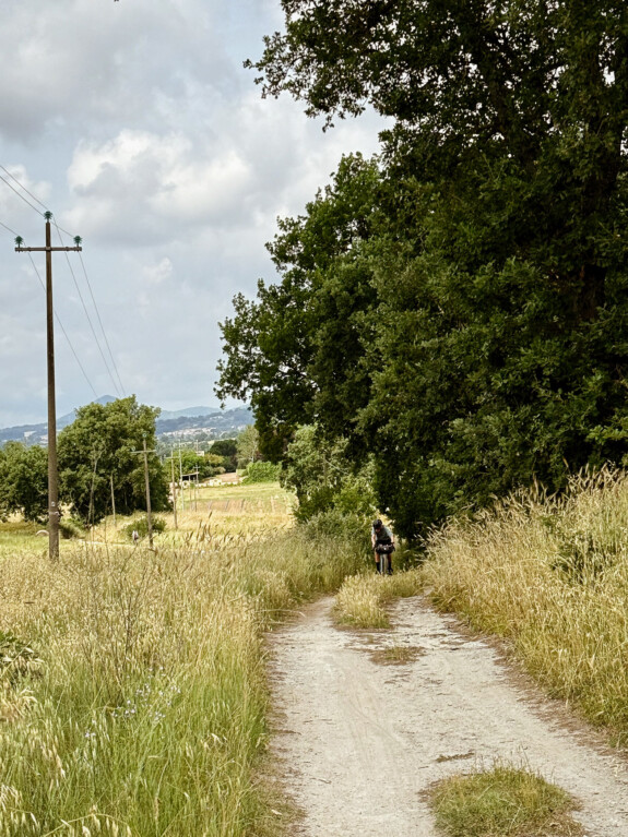 outville bikepacking bologna rom-pasta-437