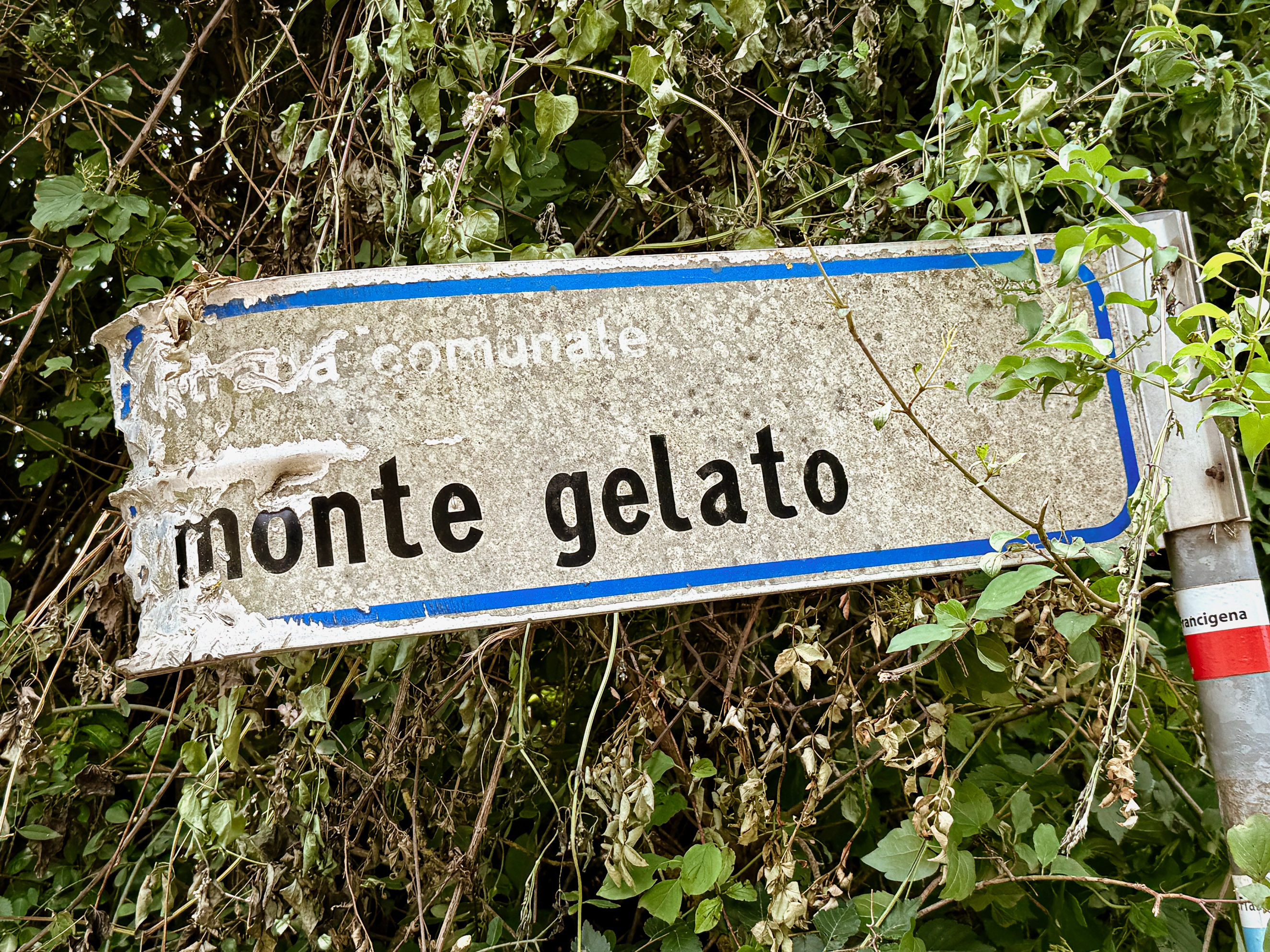outville bikepacking bologna rom-pasta-513