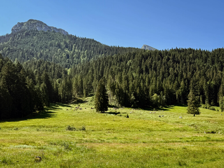 outville bikepacking Timmelsjoch-144