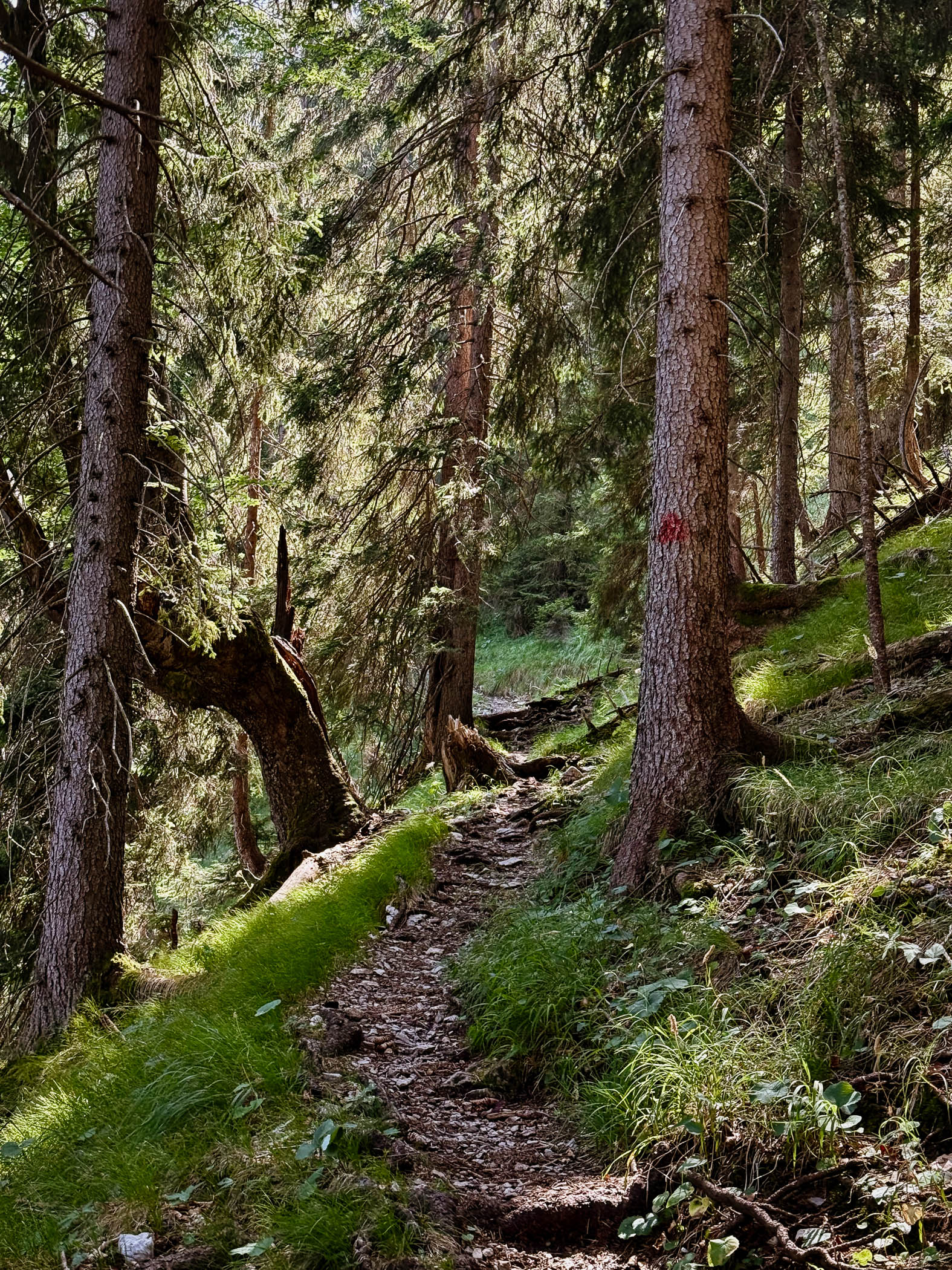 outville Estergebirge Überquerung-130