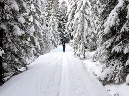 Skitour Juifen Skitour Juifen
