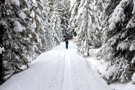 Skitour Juifen Skitour Juifen