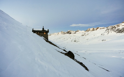 gruener2012_03_2_127mm