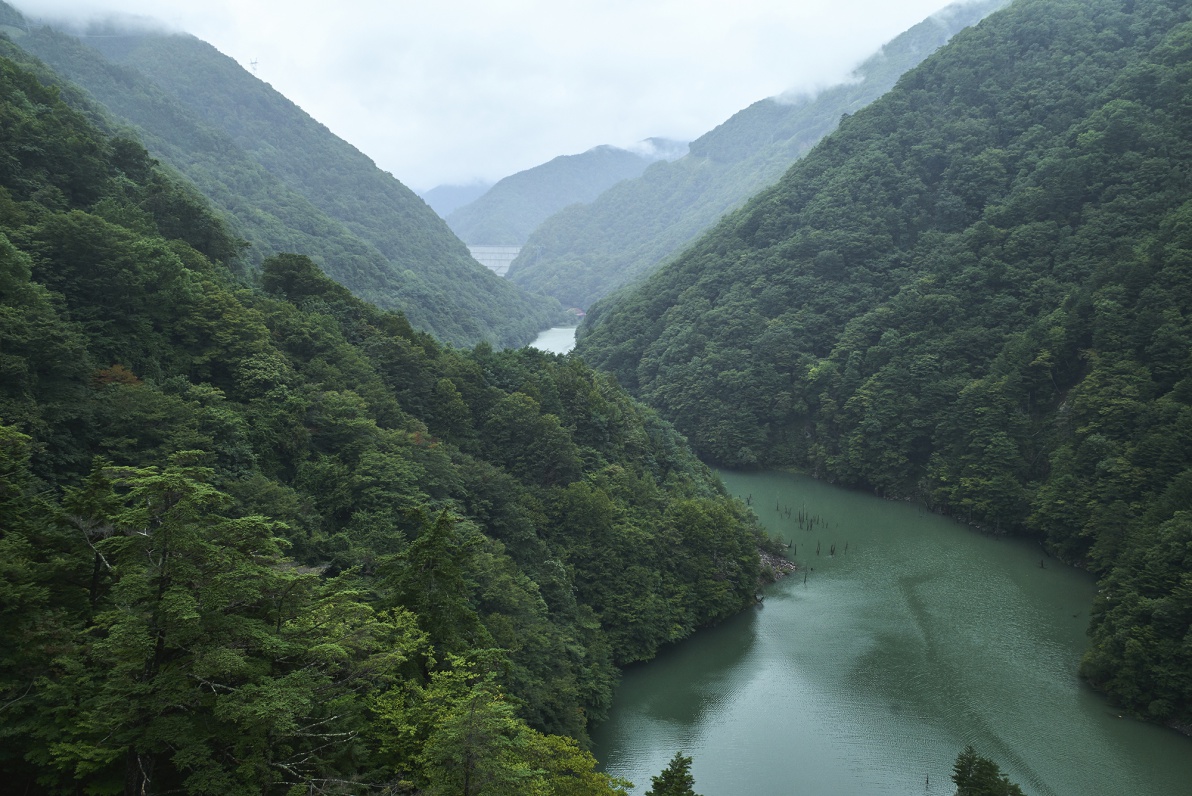 Japanese Odyssey 014