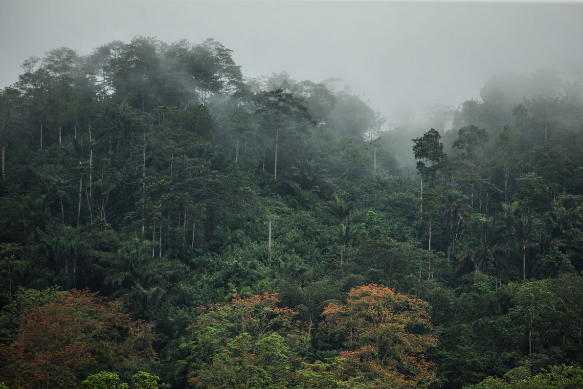 02_Sao-Tomé-Surf-2-15-JPG-327