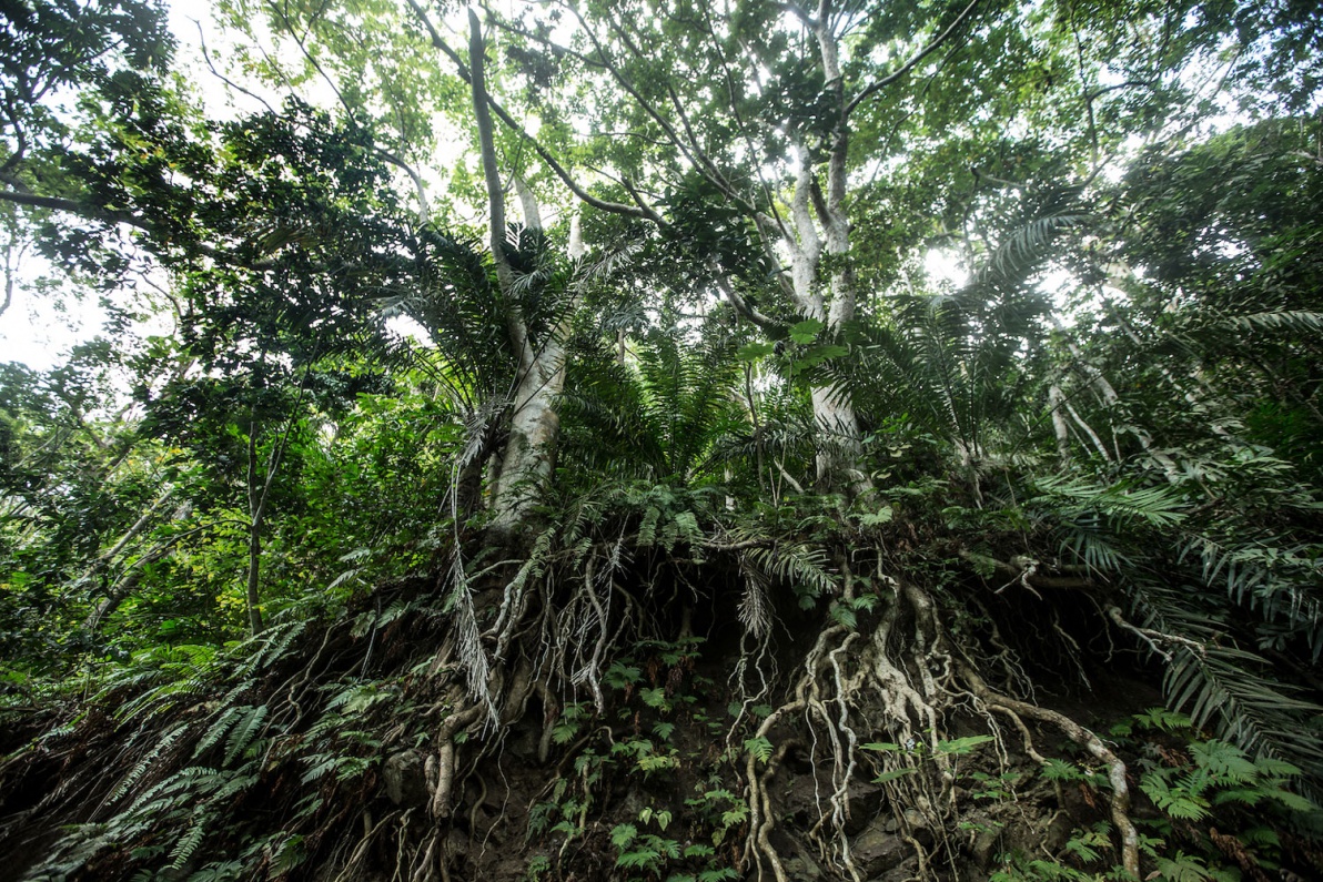 02_Sao-Tomé-Surf-2-15-JPG-435