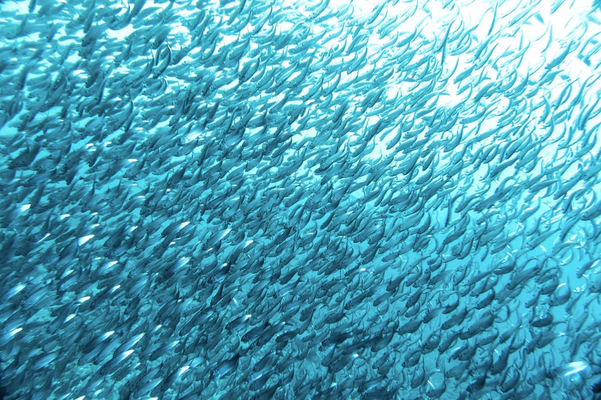 02_Sao-Tomé-Surf-2-15-JPG-444