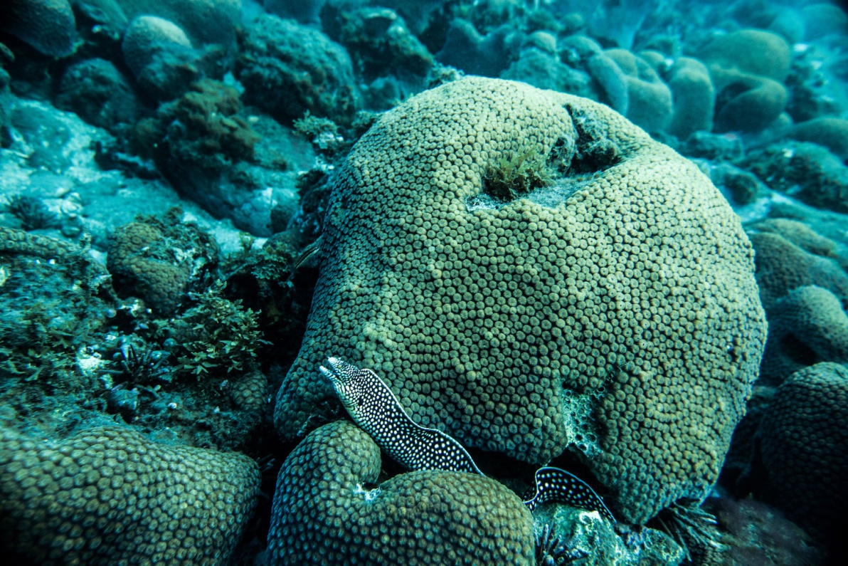 02_Sao-Tomé-Surf-2-15-JPG-445