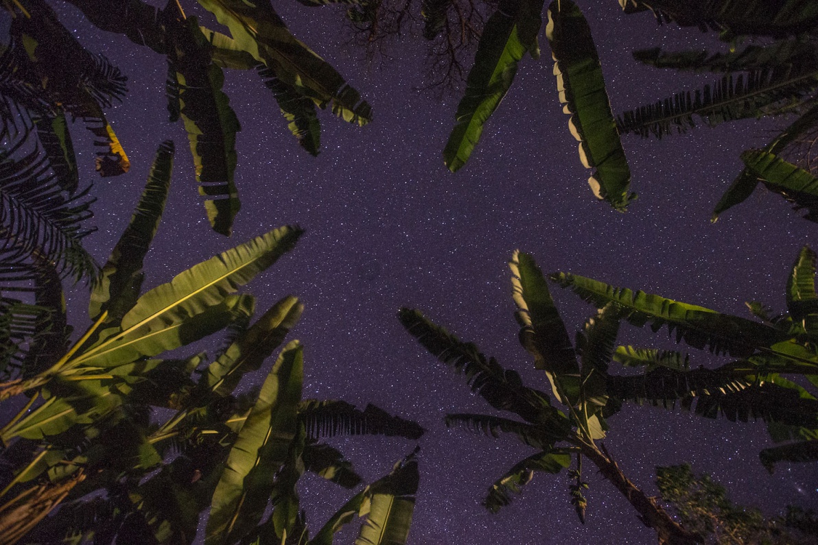 02_Sao-Tomé-Surf-2-15-JPG-490