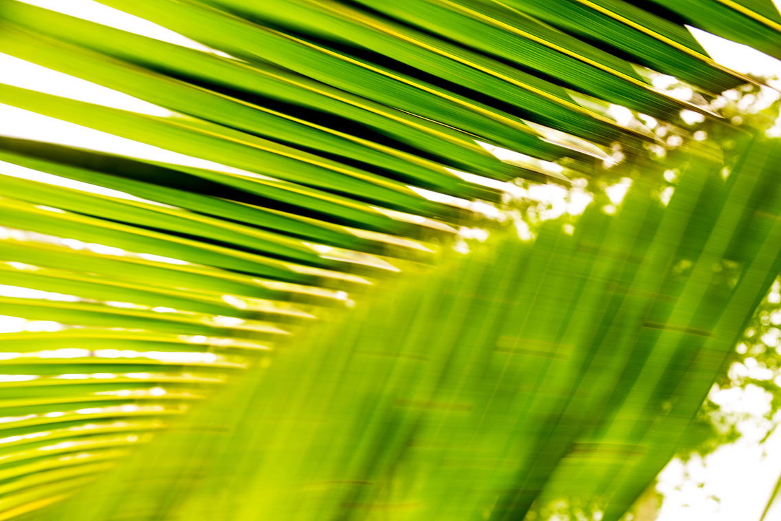 02_Sao-Tome-Surf1-15-JPG-41