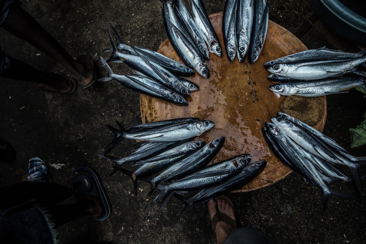 06_Sao-Tomé-Surf-2-15-JPG-261