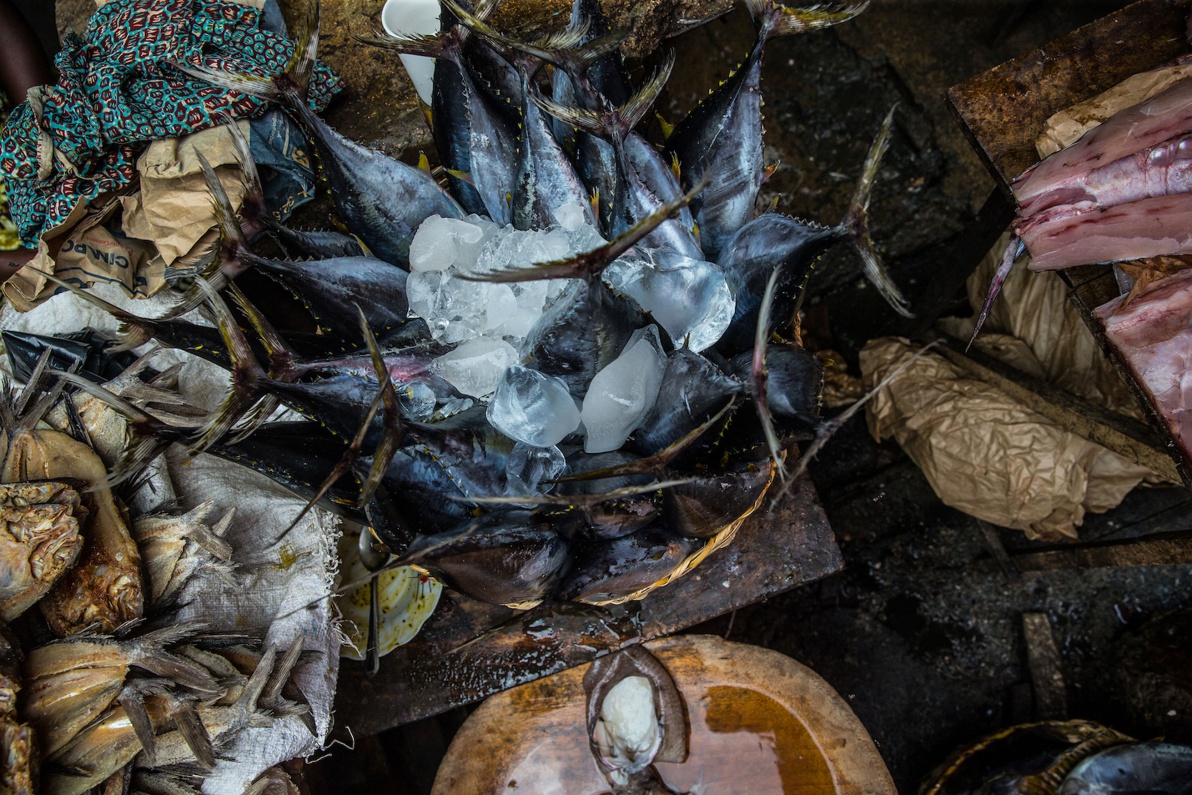 06_Sao-Tomé-Surf-2-15-JPG-262