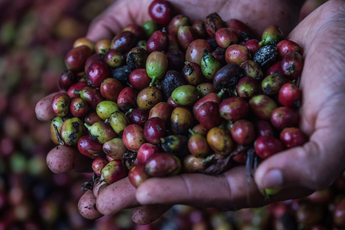 06_Sao-Tomé-Surf-2-15-JPG-338