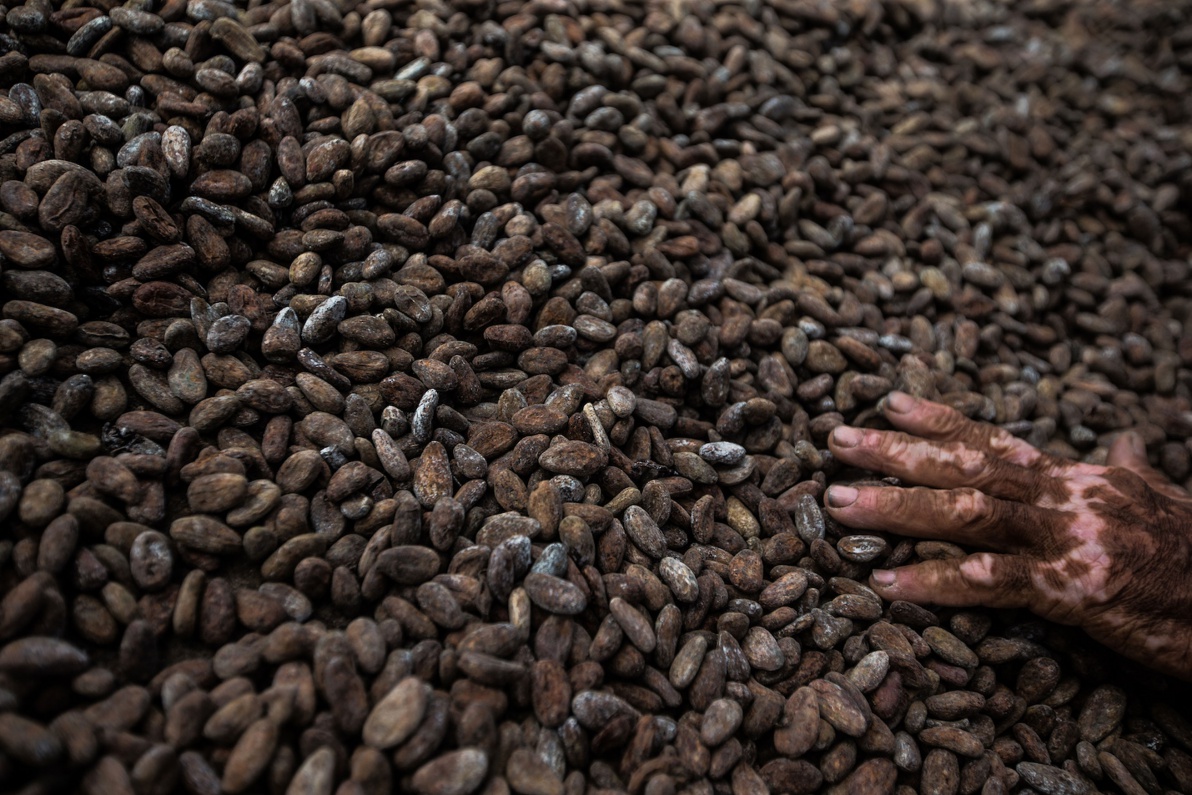 06_Sao-Tomé-Surf-2-15-JPG-438