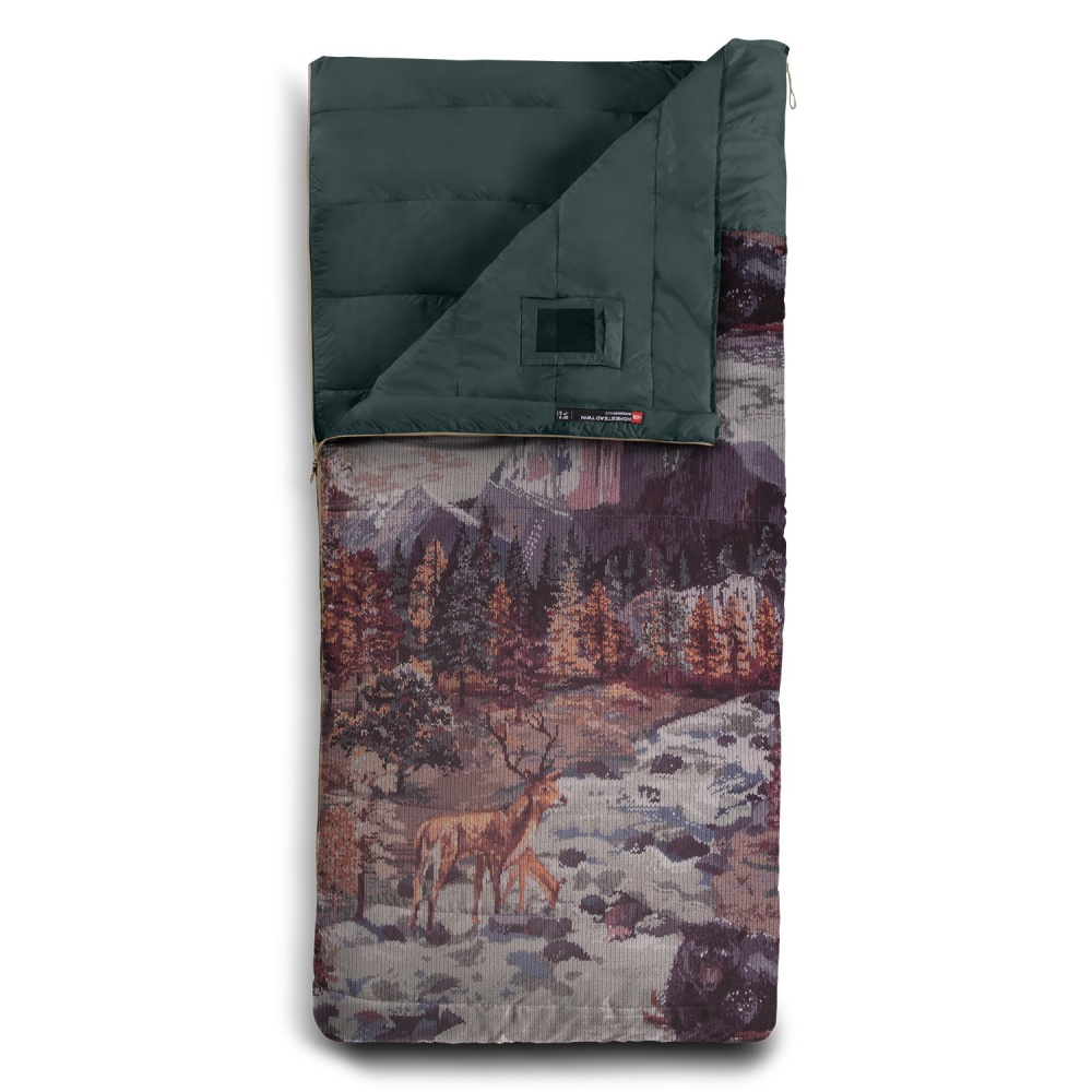 the-north-face-homestead-twin-40f-sleeping-bag-darkest-spruce-yosemite-sofa-print-darkest-spruce
