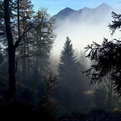 Wanderung_Jochberg_Walchensee_2 Wanderung_Jochberg_Walchensee_2