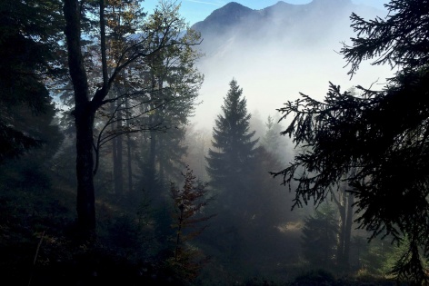 Wanderung_Jochberg_Walchensee_2 Wanderung_Jochberg_Walchensee_2