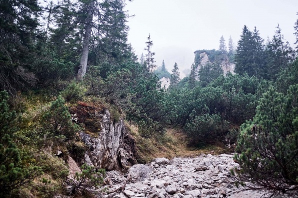 Ammergauer Alpen Berge Wandern Herbst 3