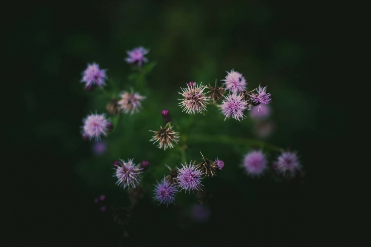 Hermansweg_Bikepacking_2