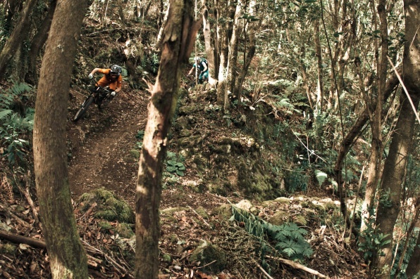 La Palma Mountainbike 13