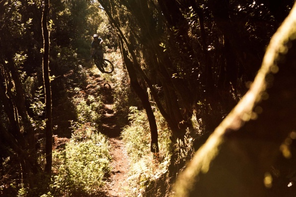 La Palma Mountainbike 21