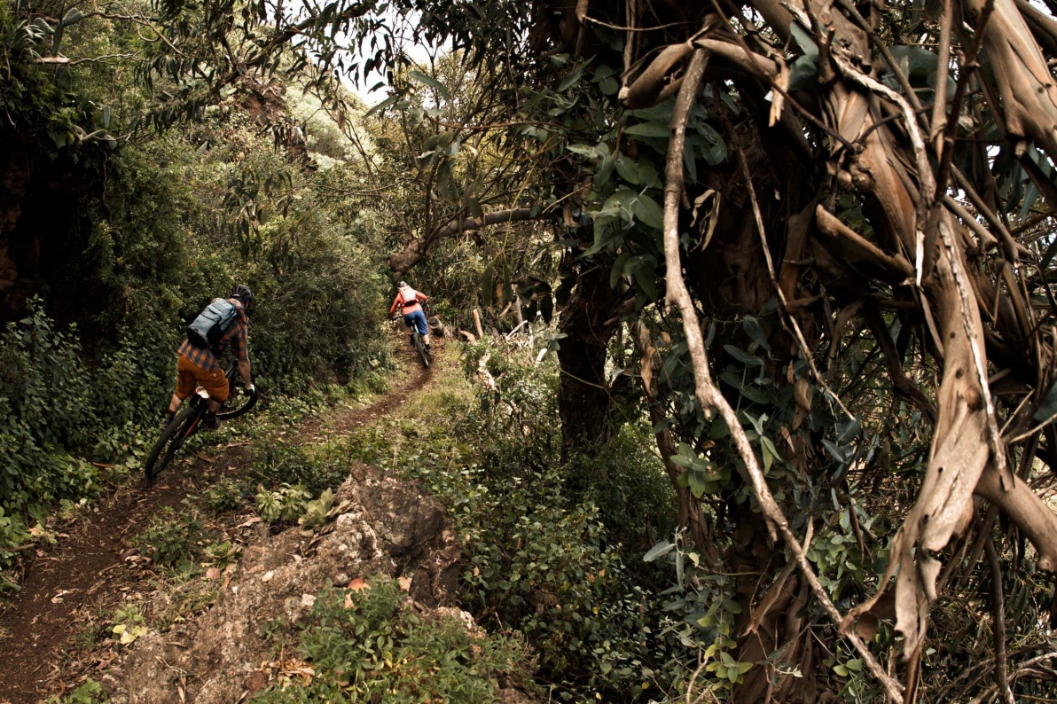 La Palma Mountainbike 3