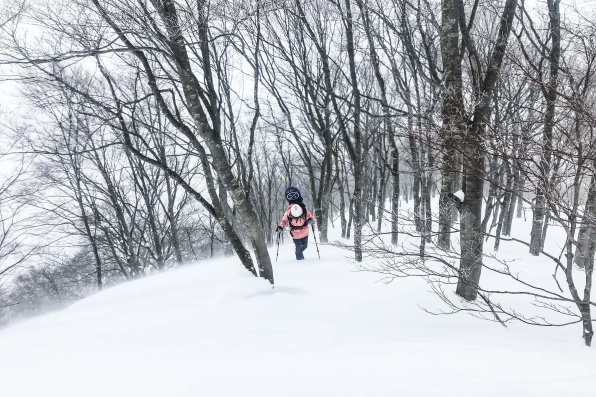 Freeride Japan Hakuba 2