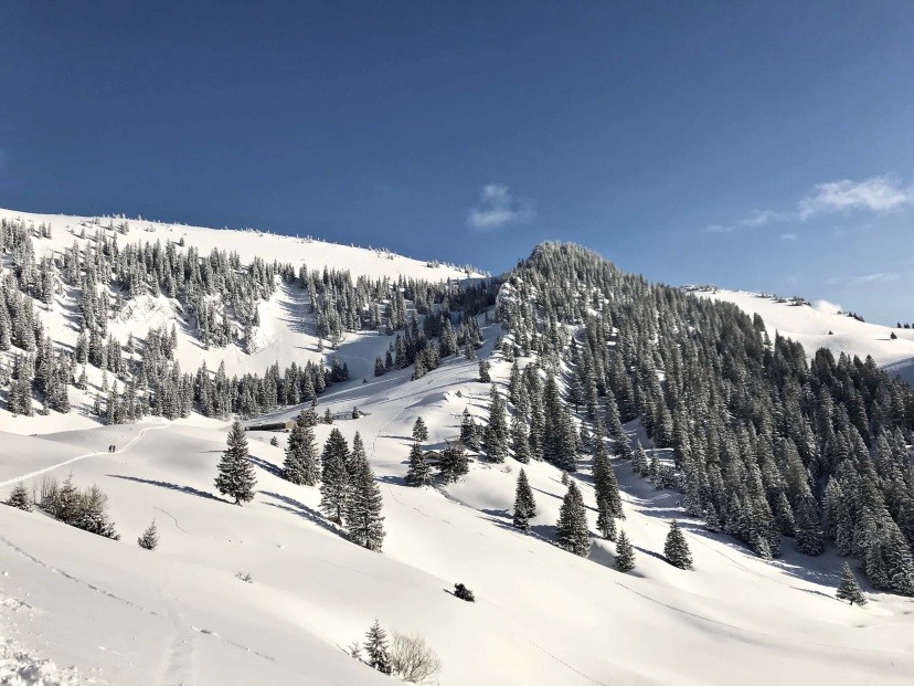 skitouren-spitzingsee-taubenstein-5