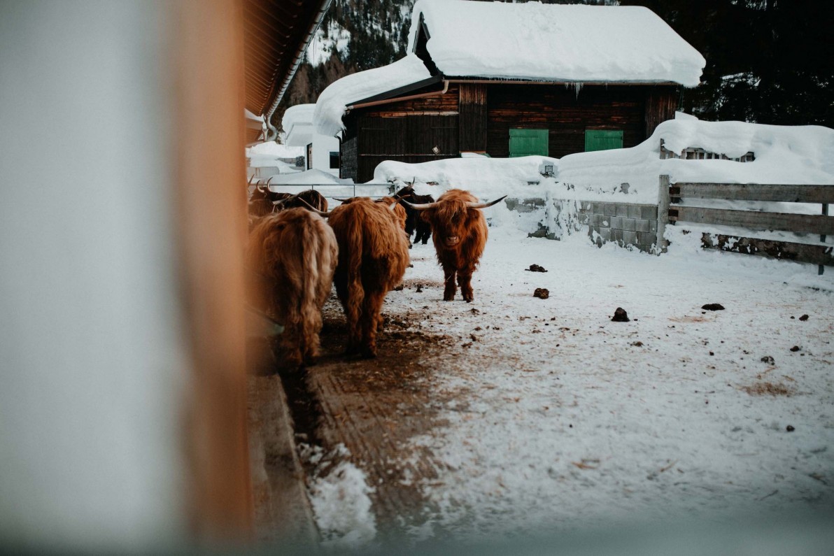 19-01-21-22 Outville Langlauf-23