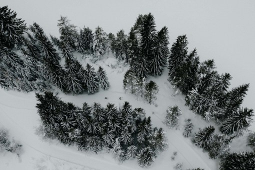 19-01-21-22 Outville Langlauf-4