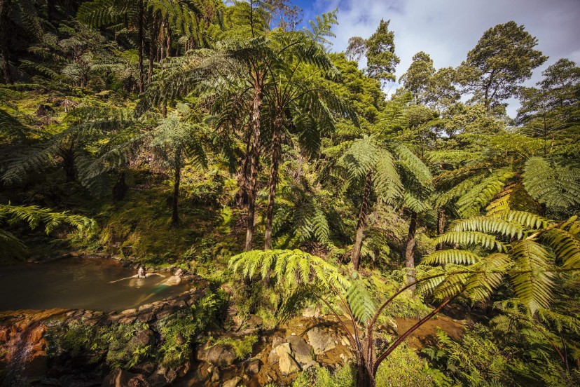 Outville_Mountainbike_Azoren_127