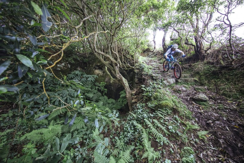 Outville_Mountainbike_Azoren_14