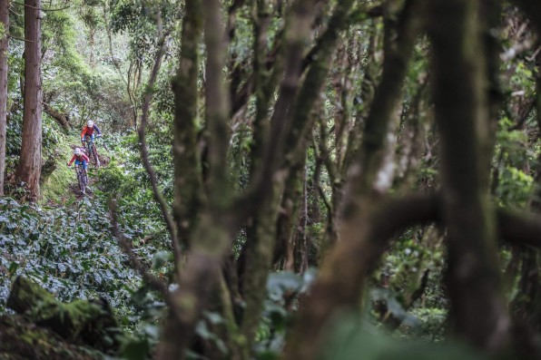 Outville_Mountainbike_Azoren_4