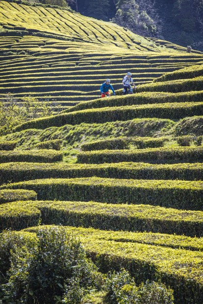 Outville_Mountainbike_Azoren_92