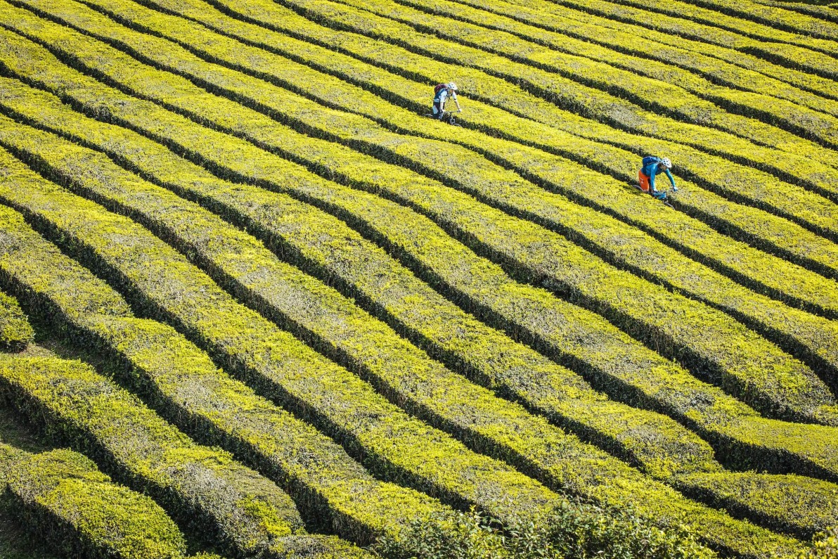 Outville_Mountainbike_Azoren_97