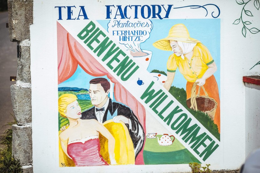 Outville_Mountainbike_Azoren_98