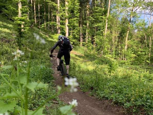 Outville Treuchtlingen Mountainbike 6